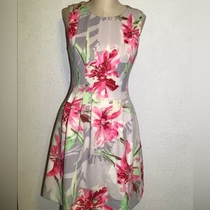 Vince camuto fit & flare Floral dress size 6